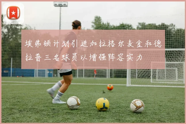埃弗顿计划引进加拉格尔麦金和德拉普三名球员以增强阵容实力
